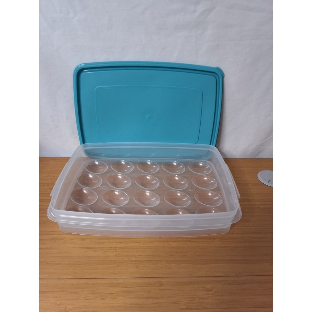 Vintage Rubbermaid Servin Saver Deviled Egg Keeper. Hold 20 Eggs. GVC!
